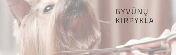 jorkaikirpikla@gmail.com